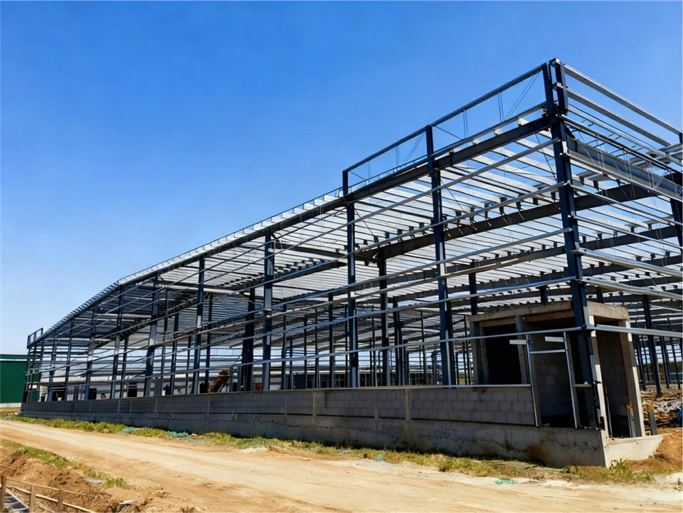 steel-structure-logistics-center-construction-steel-frame